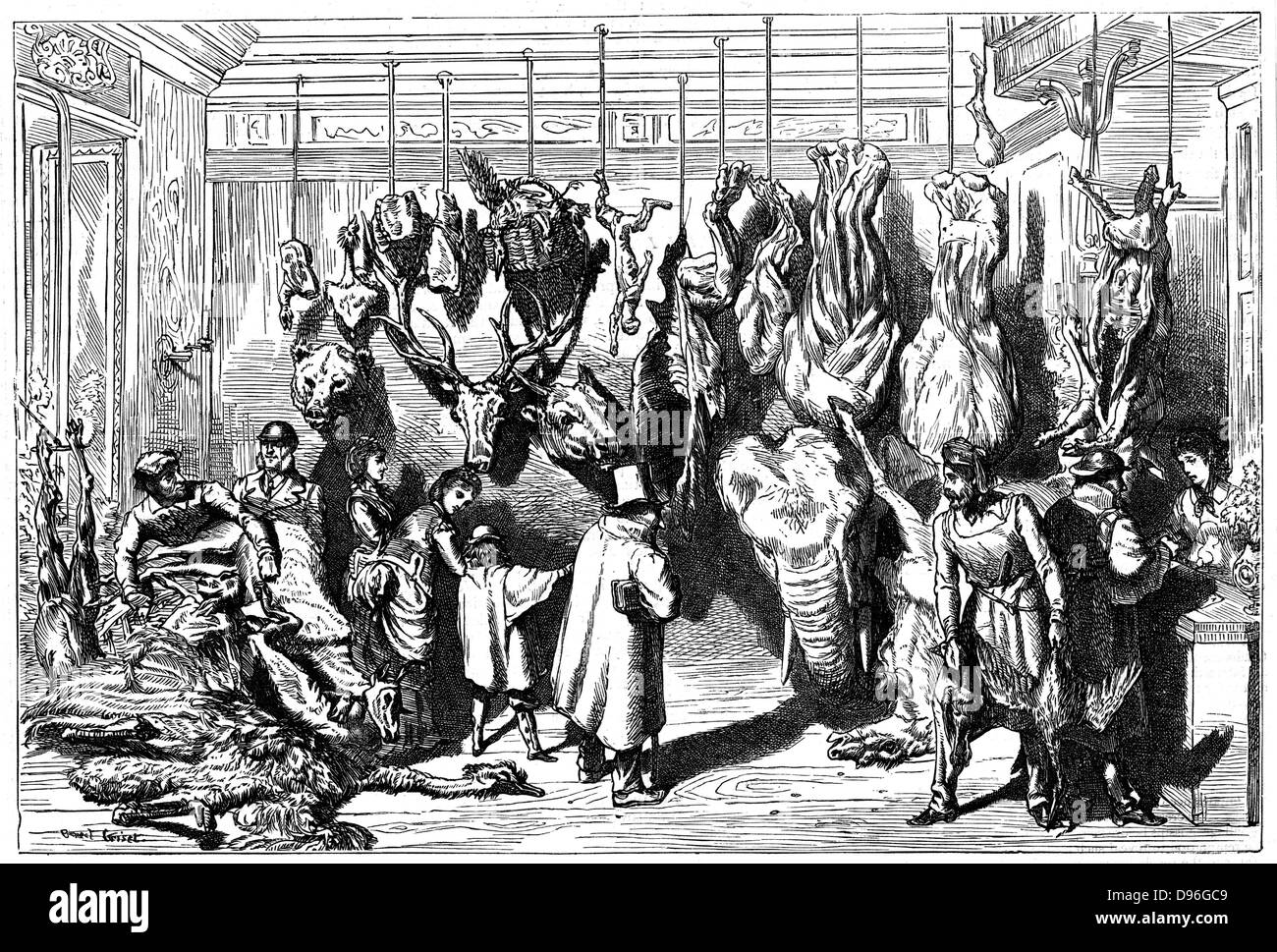 Franco-Prussian War 1870-1871: Siege of Paris September 1870 to late January 1871. An English butcher's Boulevard Haussmann, with meat from animals from the Jardins des Plantes (Paris Zoo) for sale, including elephant. Wood engraving. Stock Photo