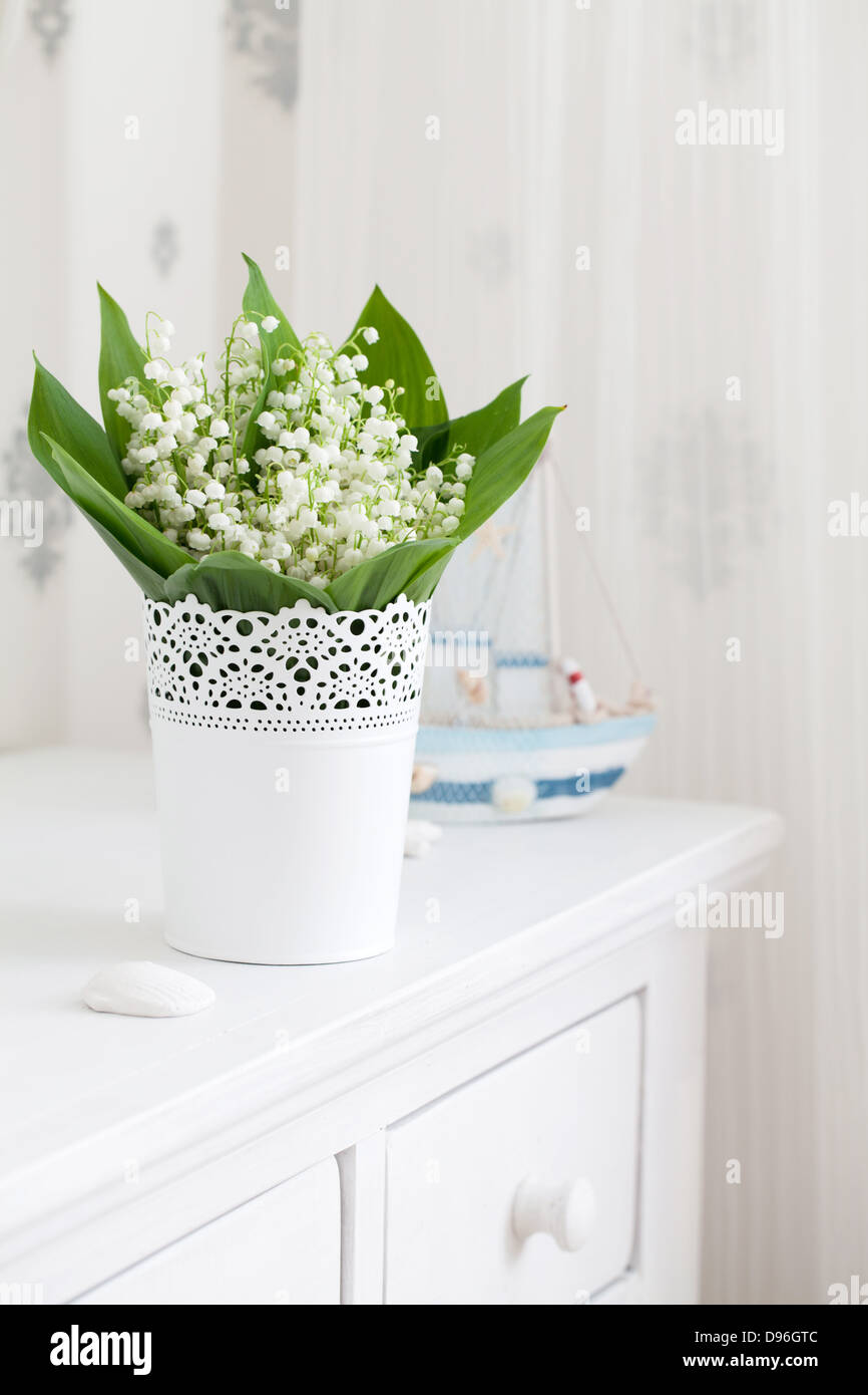 Lily of the valley in flower pot. Isolated on white background Stock ...