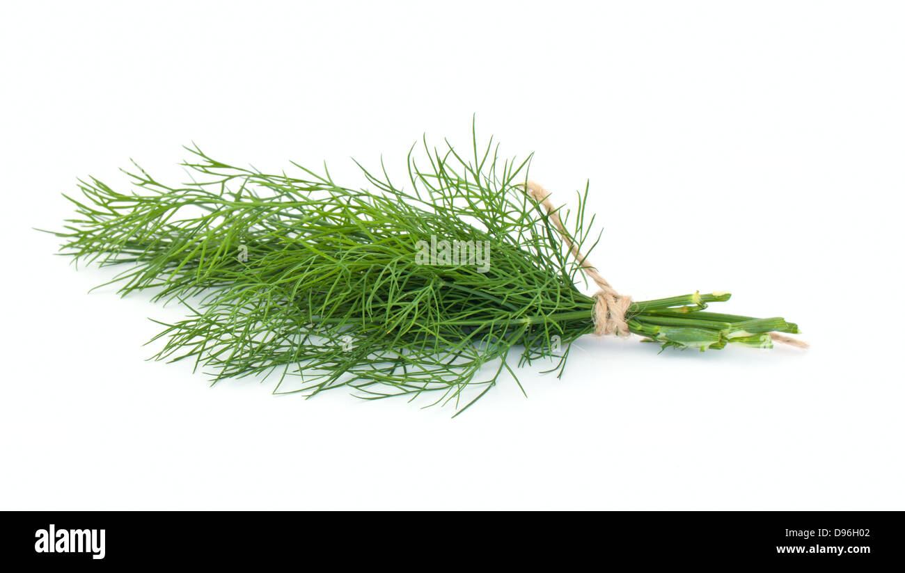 Dill leaf isolated on white background Stock Photo