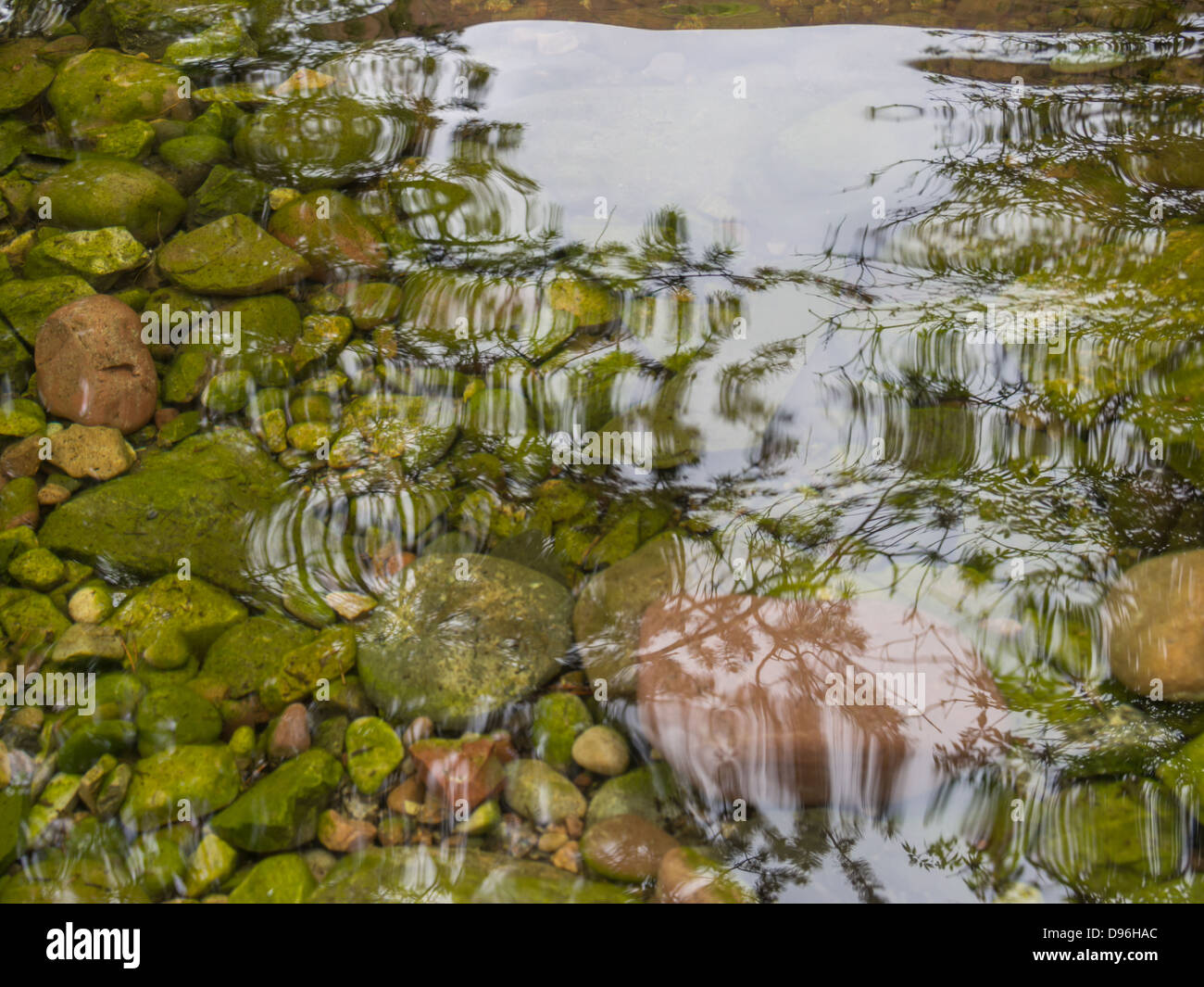 algae covered rocks on lake bottom Stock Photo - Alamy