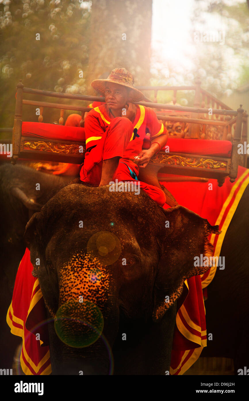 Elephant rides on the South Bridge crossing the moat to Angkor Thom, Cambodia Stock Photo