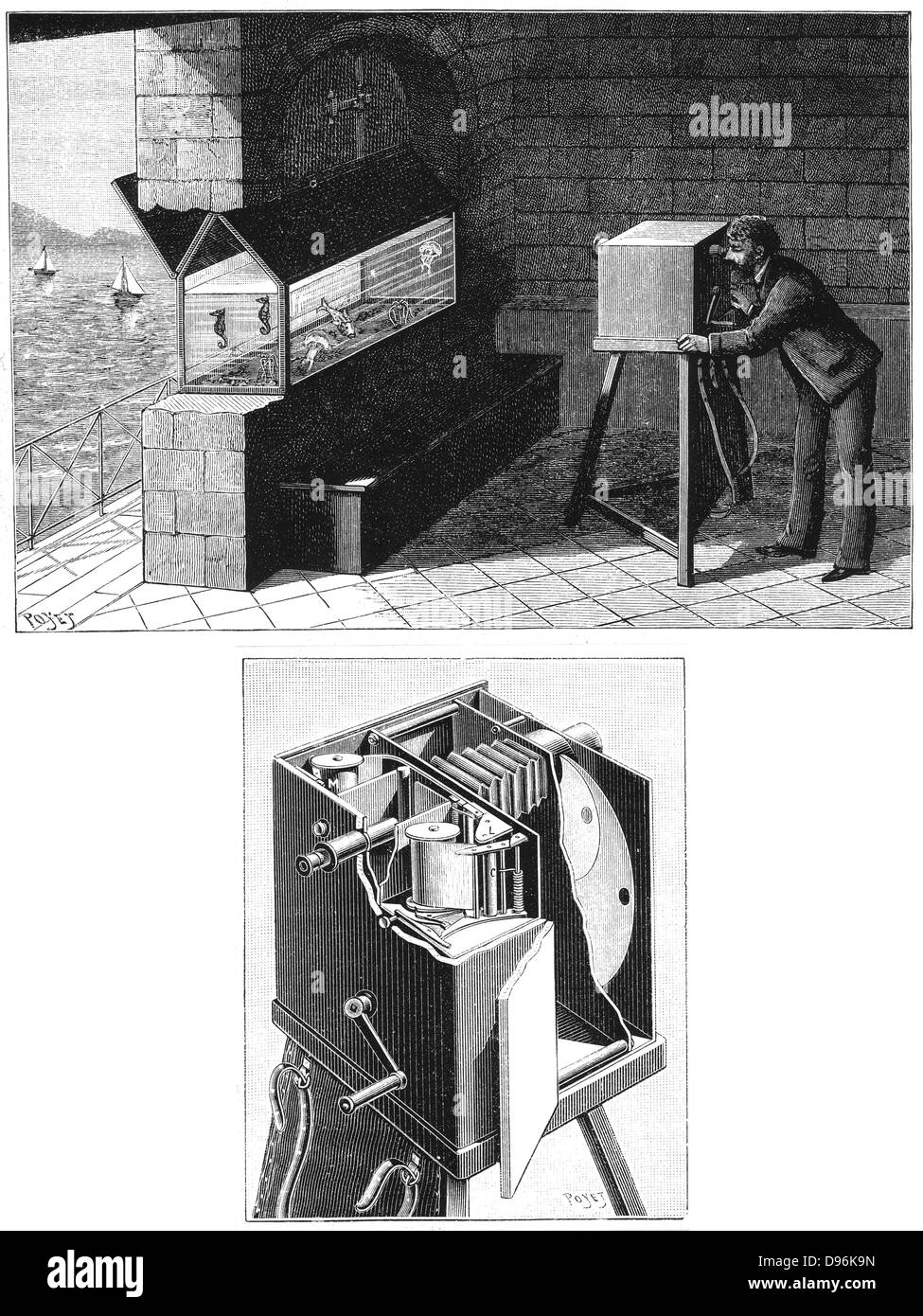 Etienne Jules Marey's (1830-1903) chambre chrono-photographique, the first cine-camera, being used to study movement of creatures in aquarium (top). Below, camera  detail, showing ribbon of light-sensitive paper by either Eastman or Balagny. Engraving published Paris 1903. Stock Photo