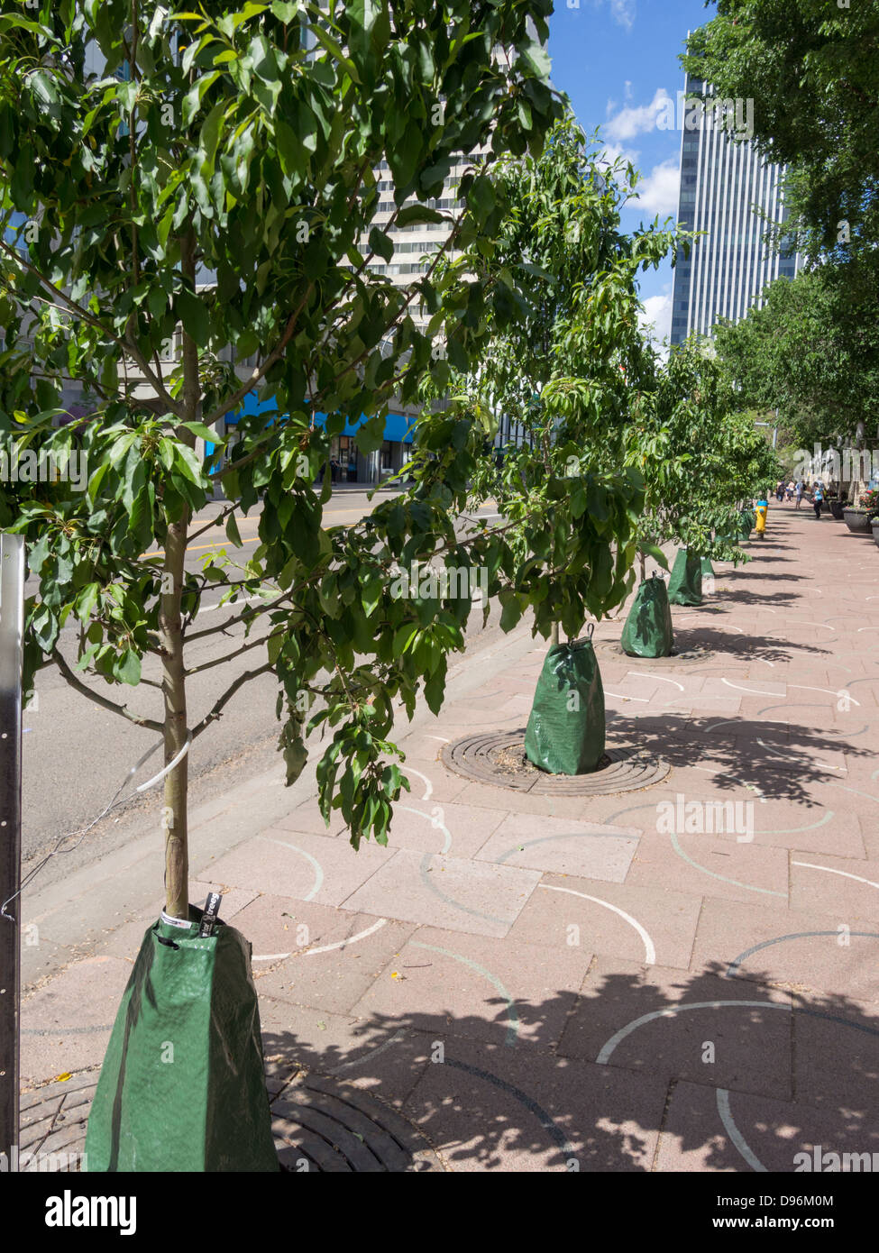 Newly planted trees hires stock photography and images Alamy