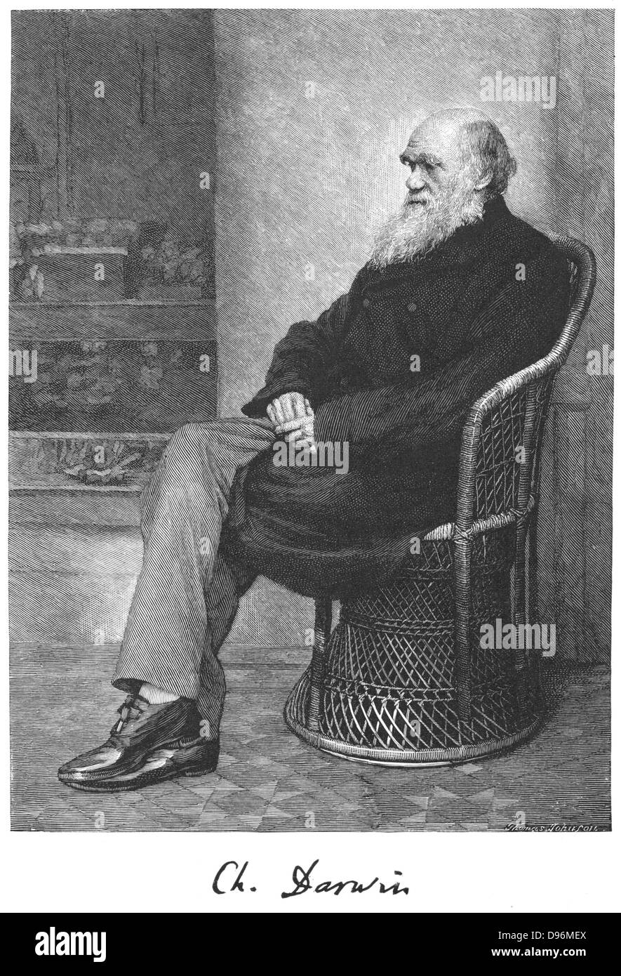 Charles Darwin (1809-1882) Darwin English naturalist. Evolution by Natural Selection. Engraving from 'The Century Magazine', New York, January 1883 Stock Photo