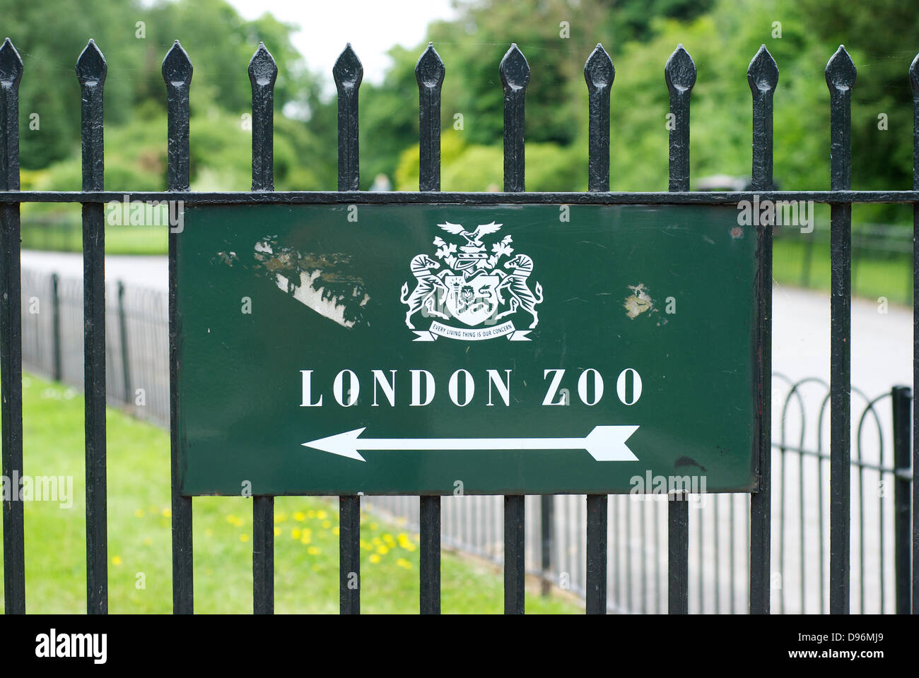 A green sign pointing towards London Zoo on railings of Regent's Park Stock Photo