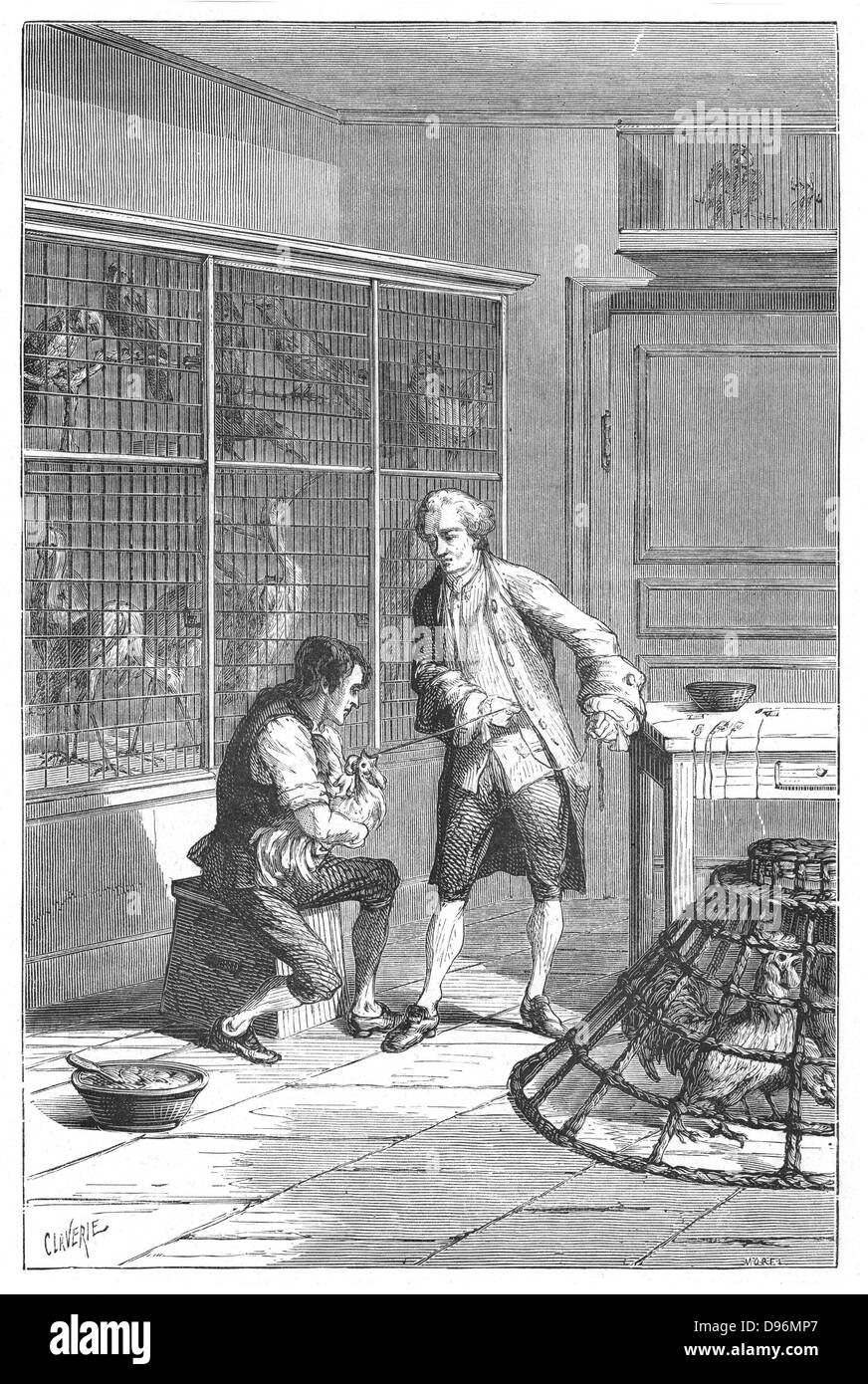 Lazaro Spallanzani (1729-1799),  Italian naturalist and biologist, investigating the digestive system of the chicken. Engraving published Paris 1874. Stock Photo
