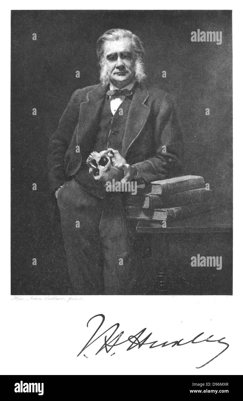 Thomas, Henry Huxley (1825-1895) English biologist and man of science. Supporter of Darwin. After portrait by John Collier. From Edward Clodd 'Pioneers of Evolution', London, 1908 Stock Photo