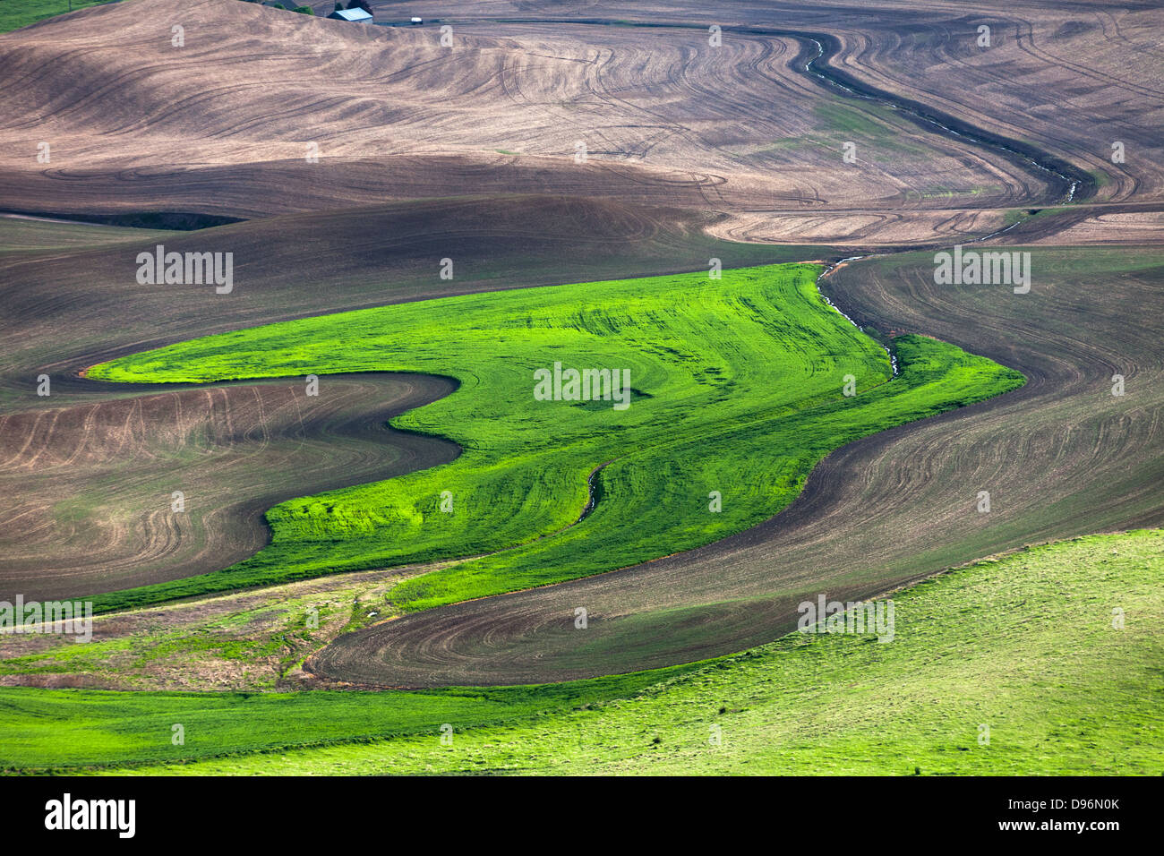 rolling hill and Farm Land, green wheat fields Stock Photo - Alamy