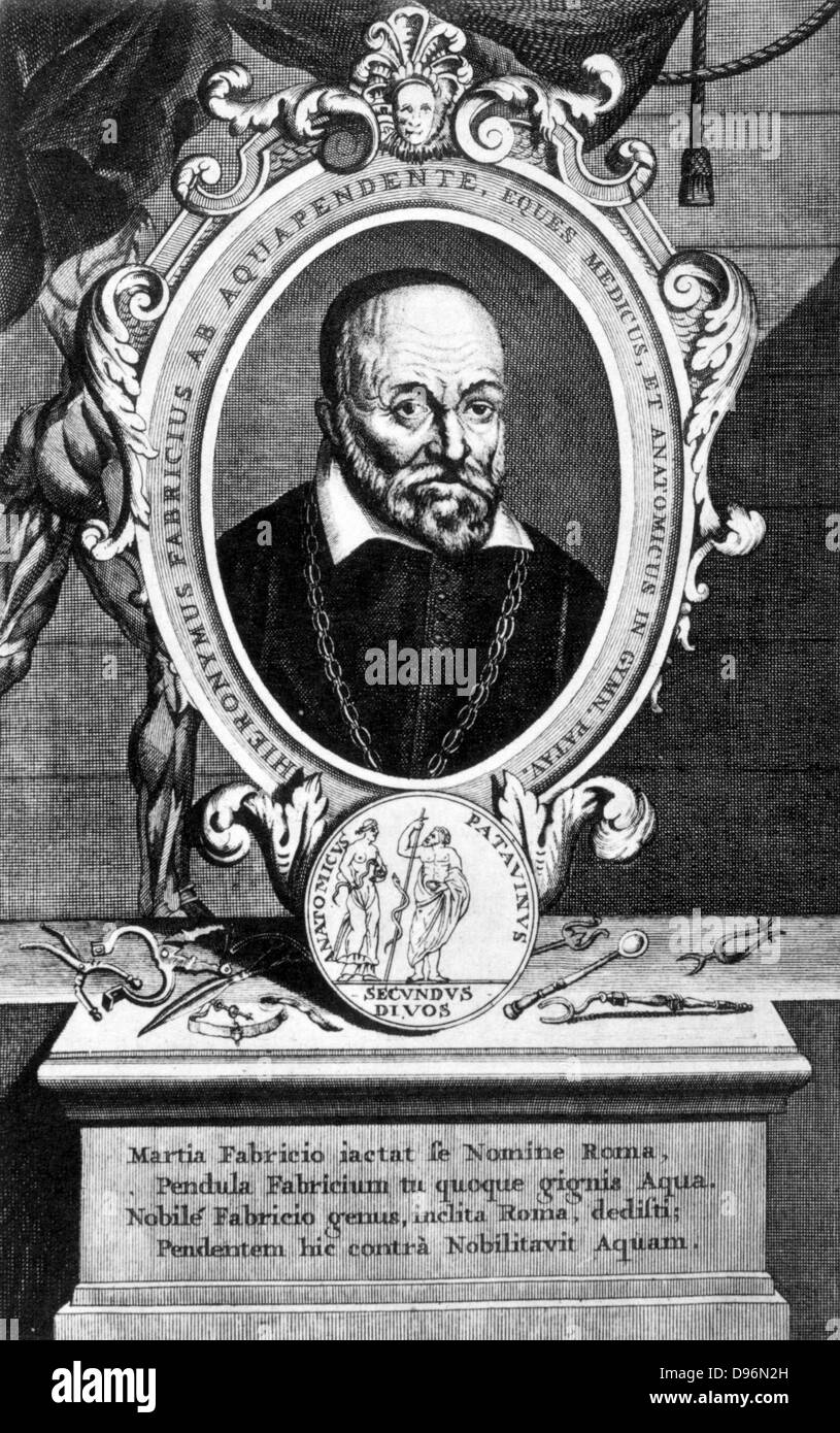Fabricius ab Aquapendente (Hieronymus Fabricius) 1537-1619. Italian anatomist. William Harvey was one of his pupils. Engraving Stock Photo