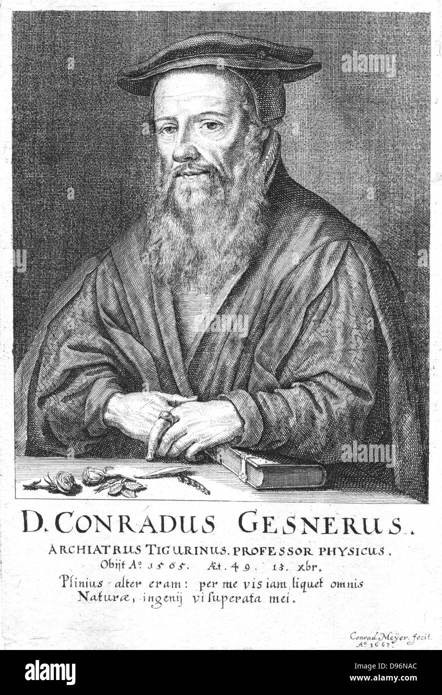 Conrad Gesner (1516-1565) Physician and naturalist. Practiced in Zurich until he died of plague. Engraving by Konrad Meyer (1618-1689) from a series of portraits of fellow citizens of Zurich. Stock Photo