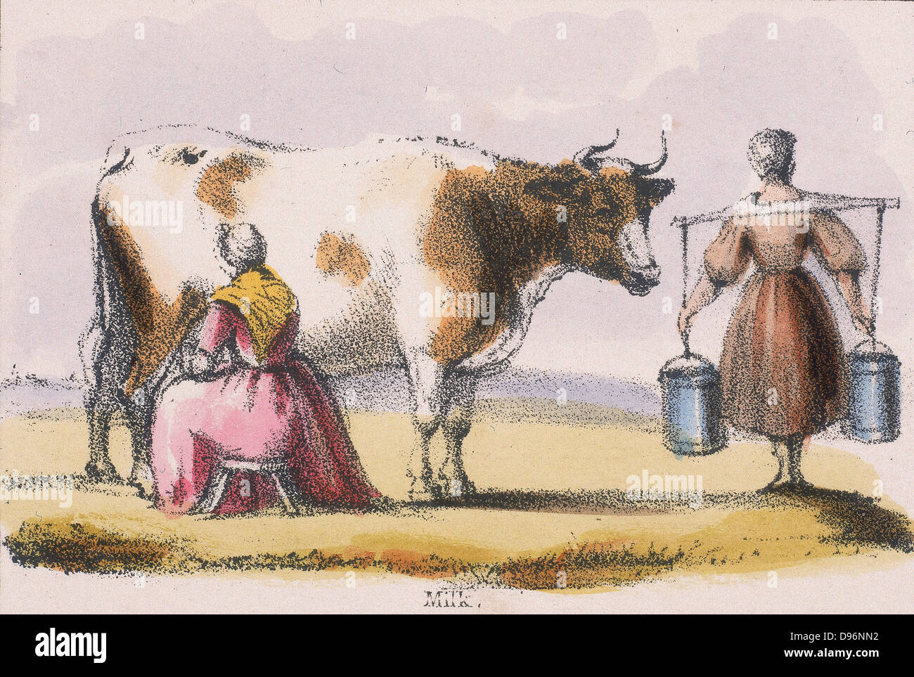 Mlikmaid milking cows in a field while her colleague carries two full pails of milk slung on a yoke back to the dairy  : From 'Graphic Illustrations of Animals and Their Utility to Man', London, c1850. Stock Photo