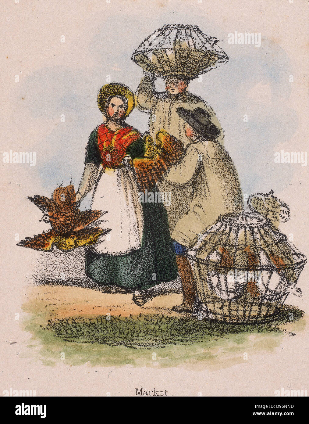 Taking poultry to market in wicker baskets. From 'Graphic Illustrations of Animals and Their Utility to Man', London, c1850. Stock Photo
