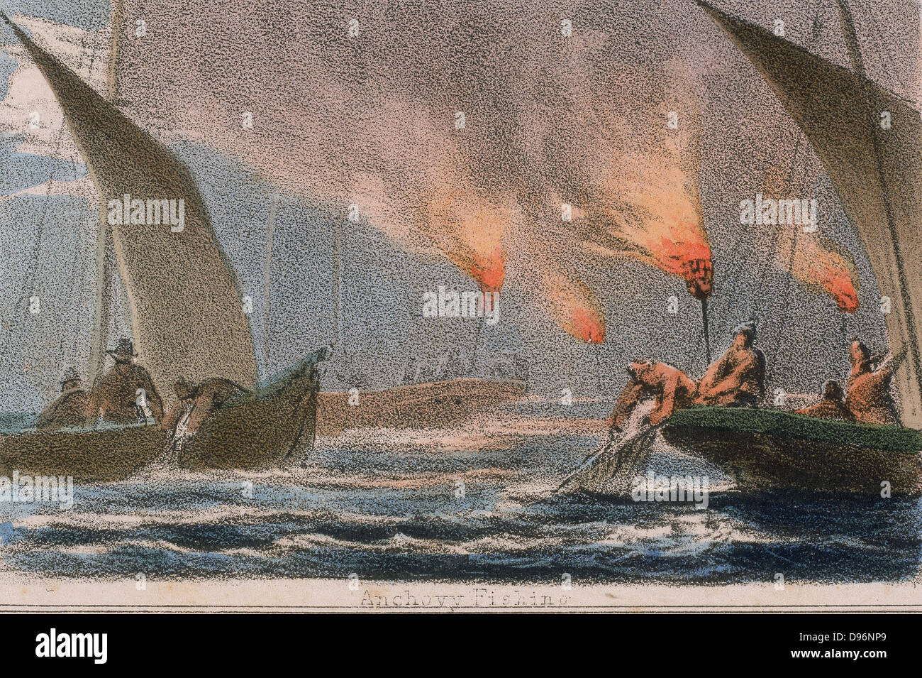 Fishing fleet netting anchovy at night using flares. From 'Graphic Illustrations of Animals and Their Utility to Man',  London, c1850. Stock Photo