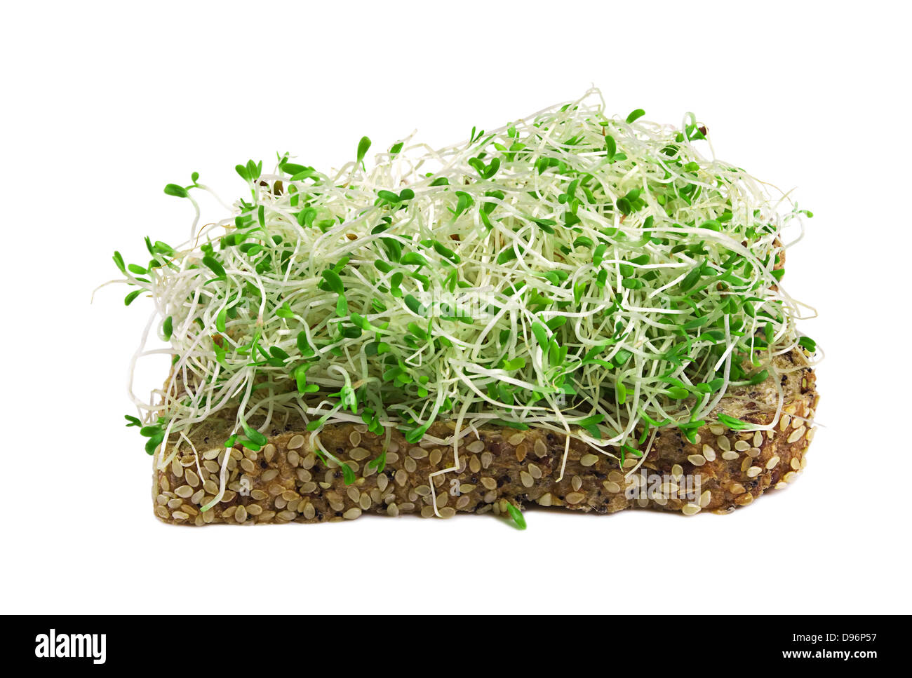 sandwich with alfalfa sprouts isolated on white Stock Photo Alamy