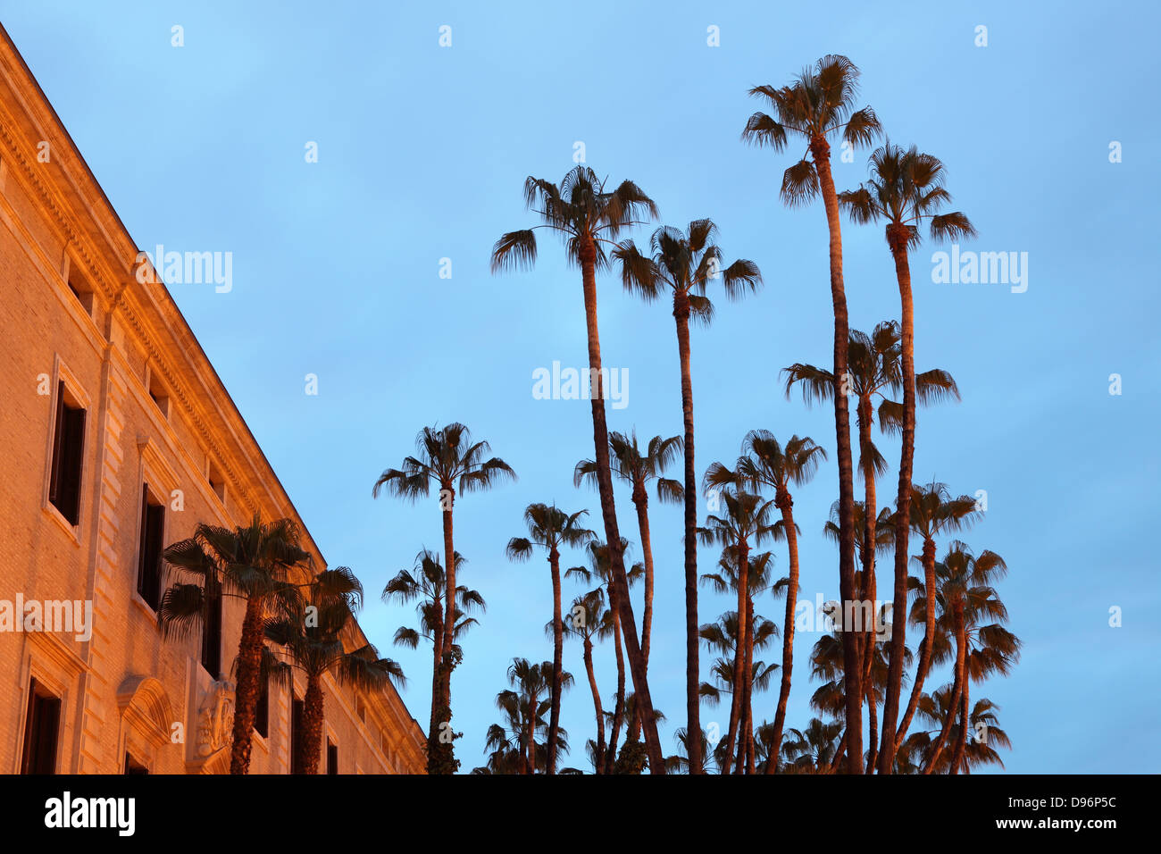 Palm trees in Malaga, Andalusia Spain Stock Photo