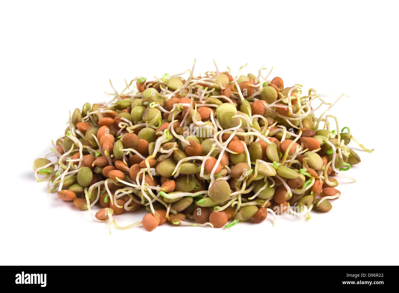Healthy food.Lentil seeds with sprouts isolated on white Stock Photo