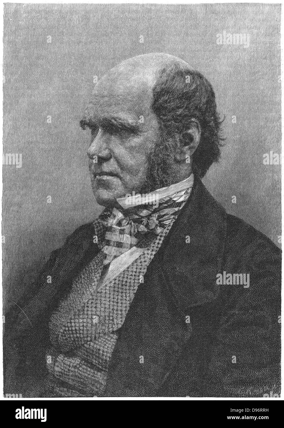 Charles Darwin (1809-1882) English naturalist. Evolution by Natural Selection. Engraving from 'Harper's New Monthly Magazine', European edition, 1884.  Engraving. Stock Photo