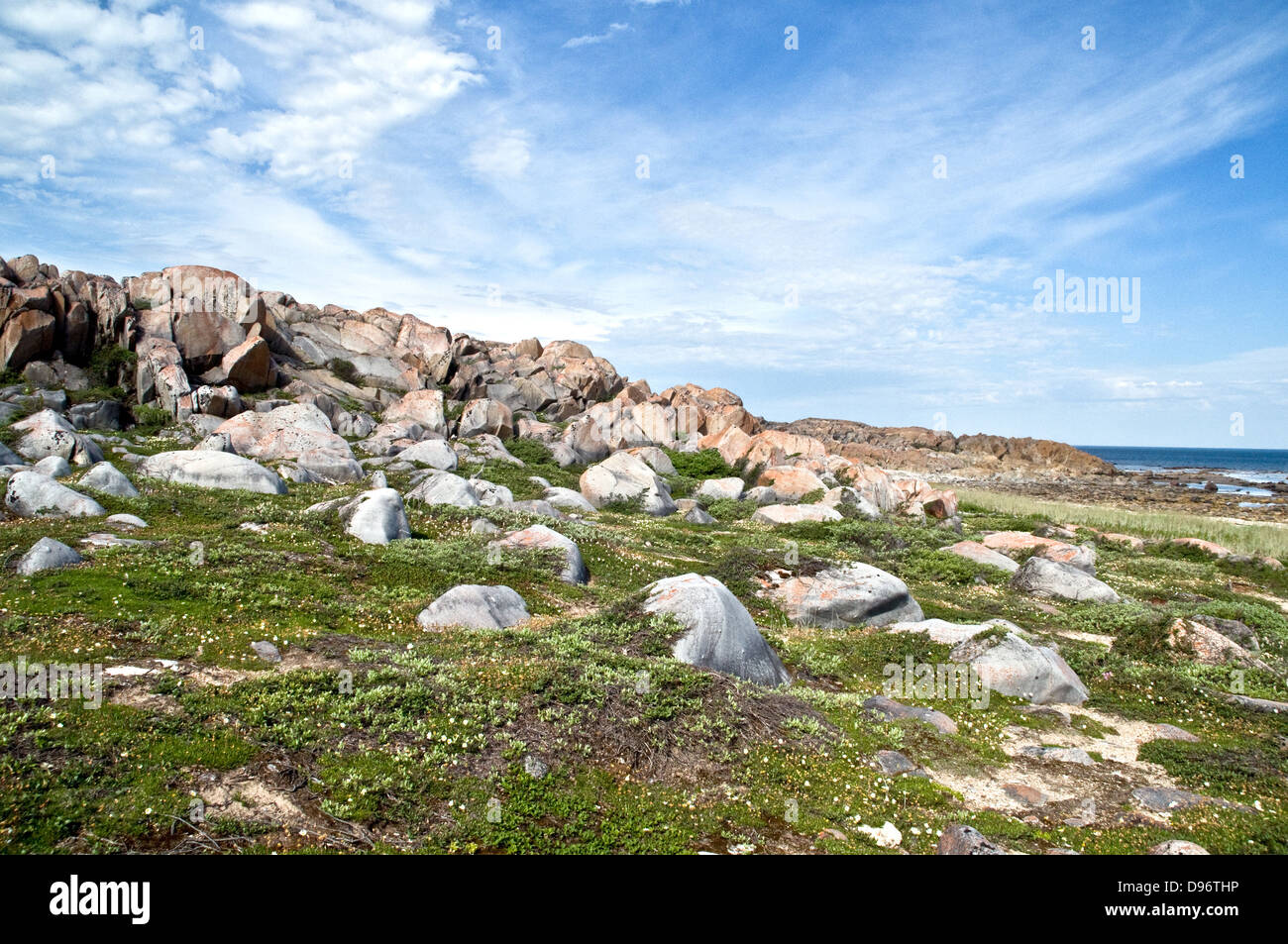 Rocky tundra terrain, moss and wildflowers along the coast of Hudson Bay, in the Canadian Shield, near the town of Churchill, Manitoba, Canada. Stock Photo