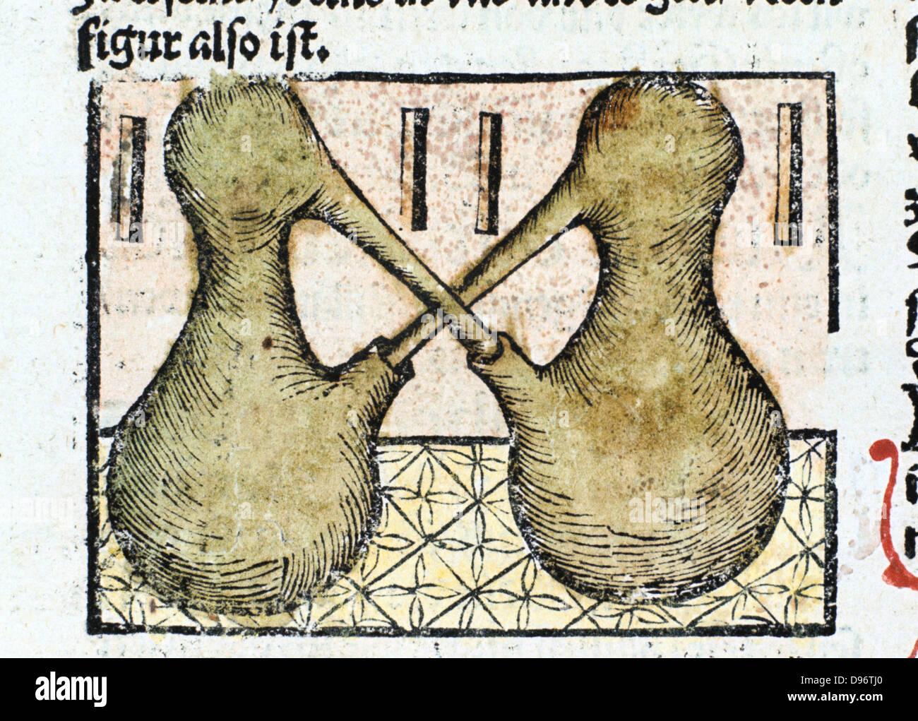 Distillation 1500. Distilling using double pelicans. From ' Liber de arte distillandi de simplicibus' by Hieronmus Braunschweig. (Strasbourg, 1500). Stock Photo