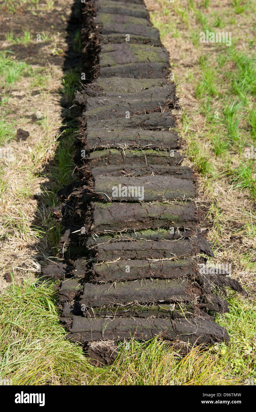 Peat cutting Wilhelmsfehn Wiesmoor Aurich Lower Saxony Germany Torfabbau Stock Photo
