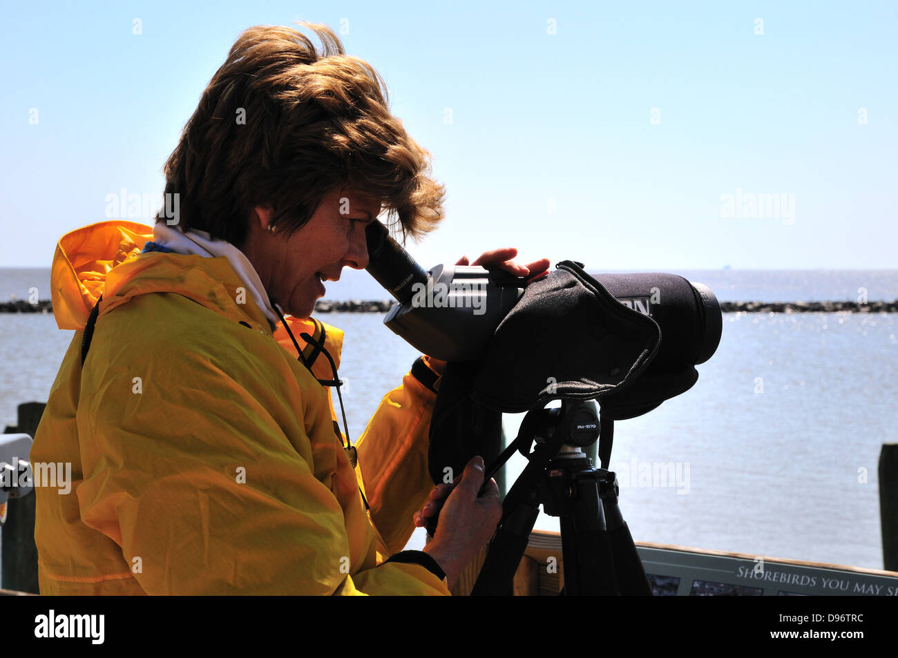 Birdwatcher using her telescope to scan the horizon Stock Photo