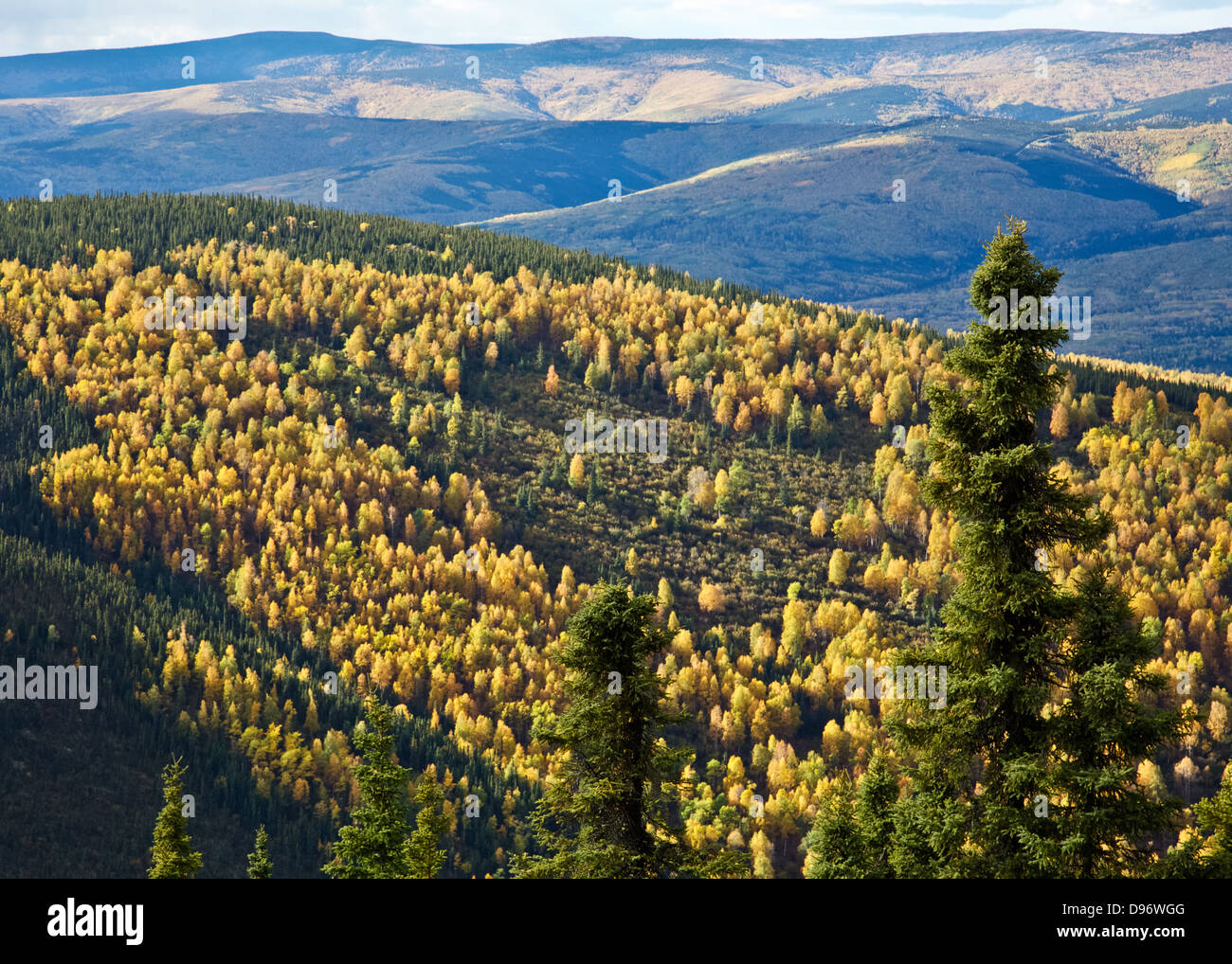 Ester alaska hires stock photography and images Alamy