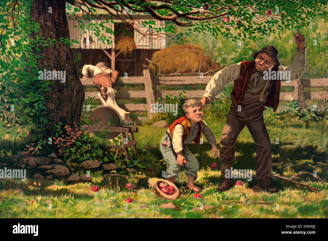 Stealing apples, an orchard owner grabs a young thiefs ears Stock Photo