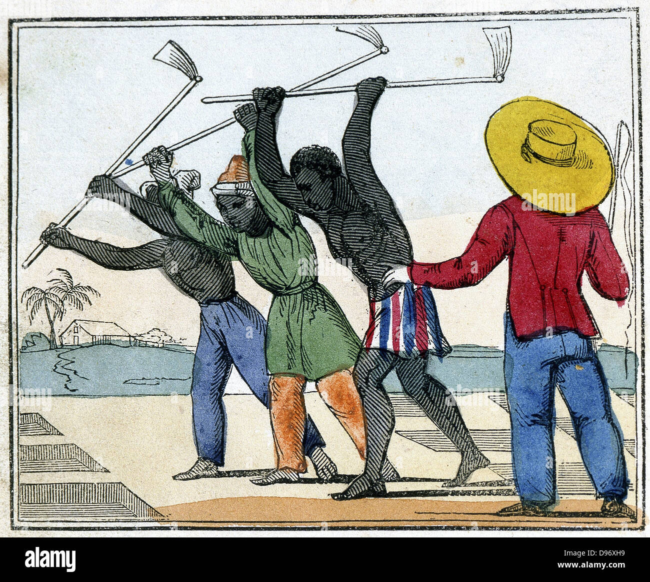 Black slaves working in the cane fields: Holing. Overseer with whip stands  over them. West Indies?