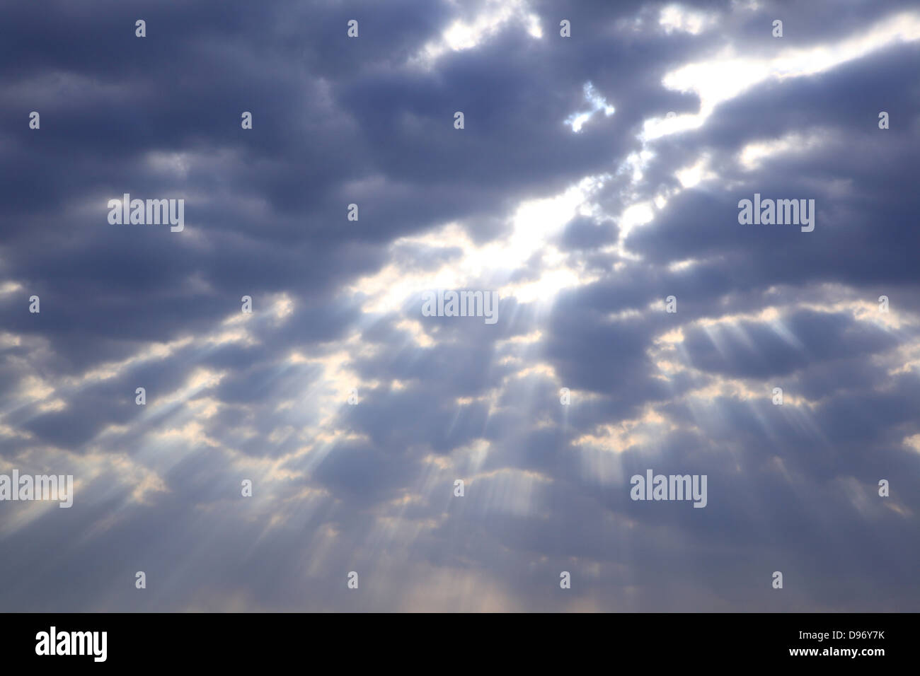 Rays of light in the morning sky Stock Photo