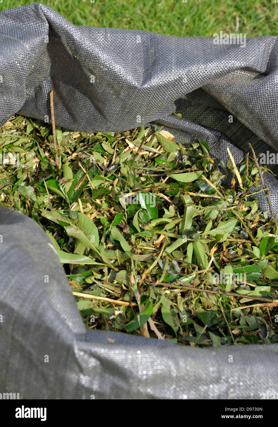 Compost heap clippings hi-res stock photography and images - Alamy
