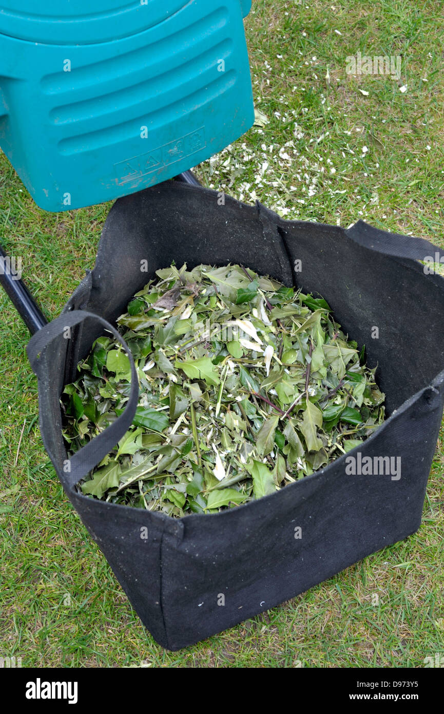 Garden shredder with shredded shrub waste Stock Photo Alamy