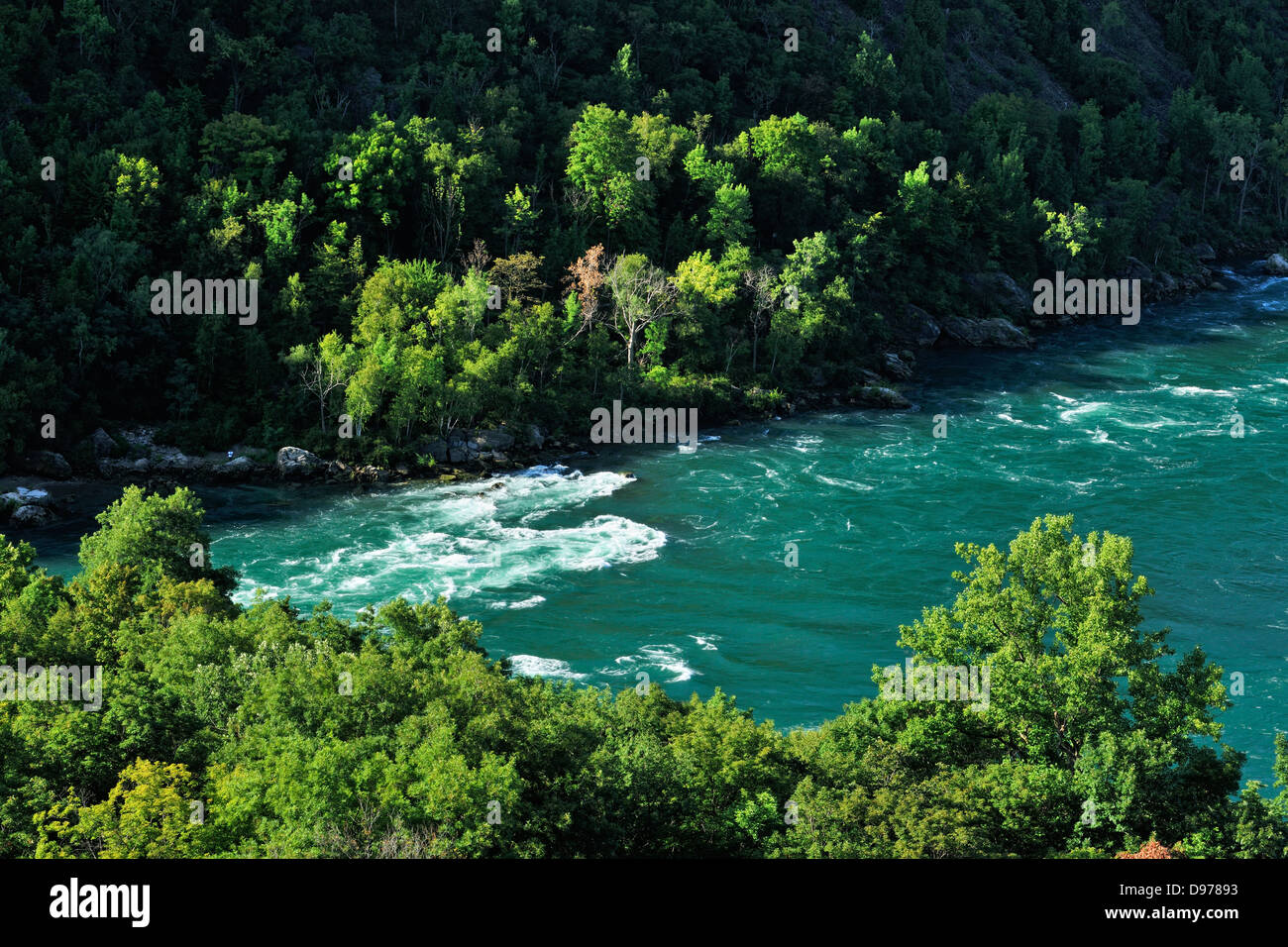 Niagara River gorge and rapids from Niagara Glen Niagara Falls Ontario Canada Stock Photo