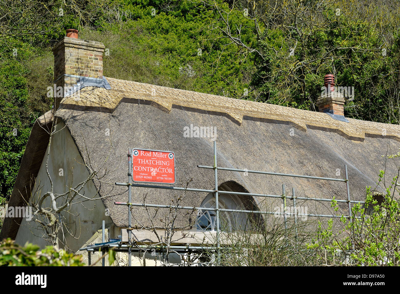 House being rethatched Lulworth Cove Dorset England uk Stock Photo