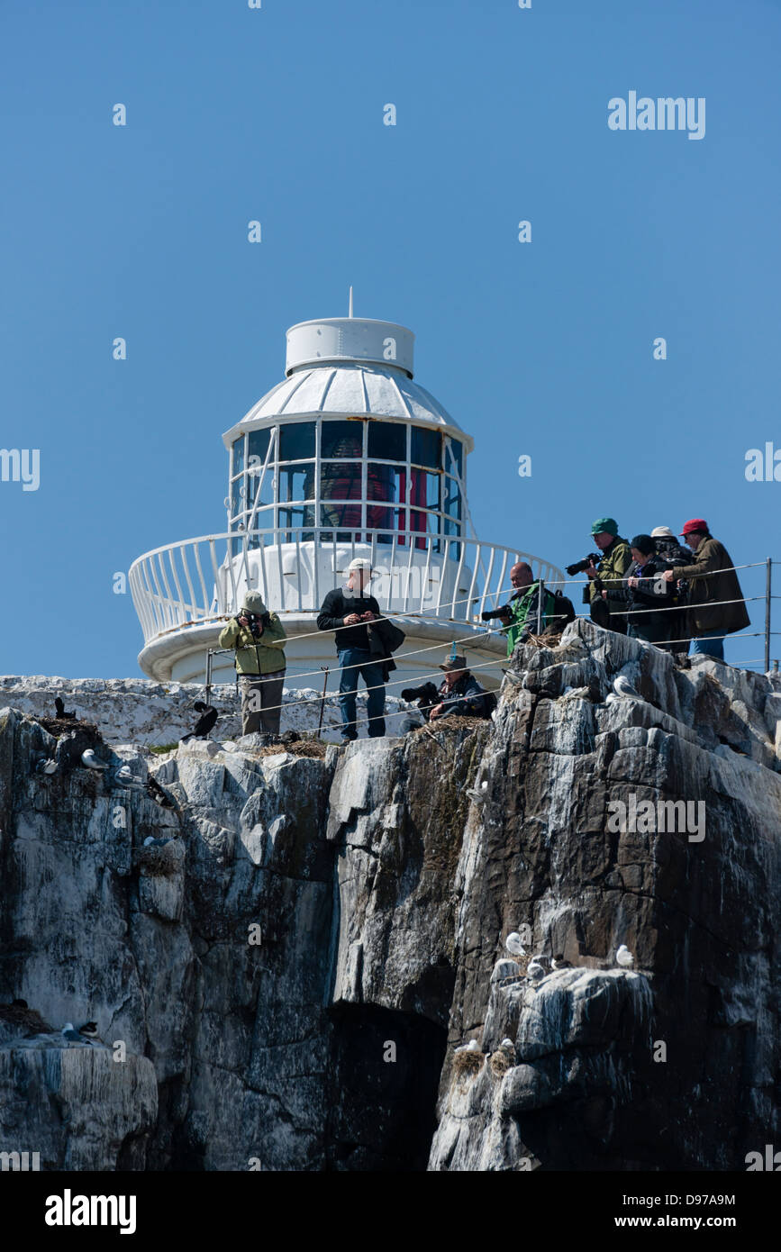 Bird watchers and photographers on the cliif top beside Inner Farne lighthouse Stock Photo