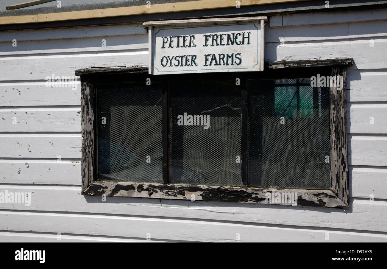 Sign for local oyster farm on shed, West Mersea, Mersea Island, Essex, England Stock Photo