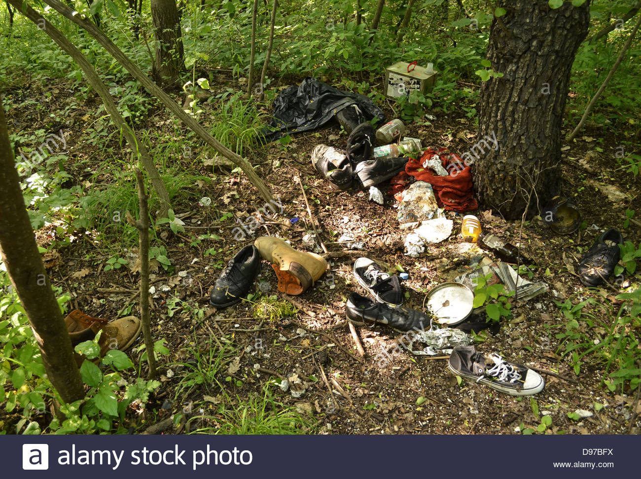 Trash In Forest High Resolution Stock Photography and Images Alamy