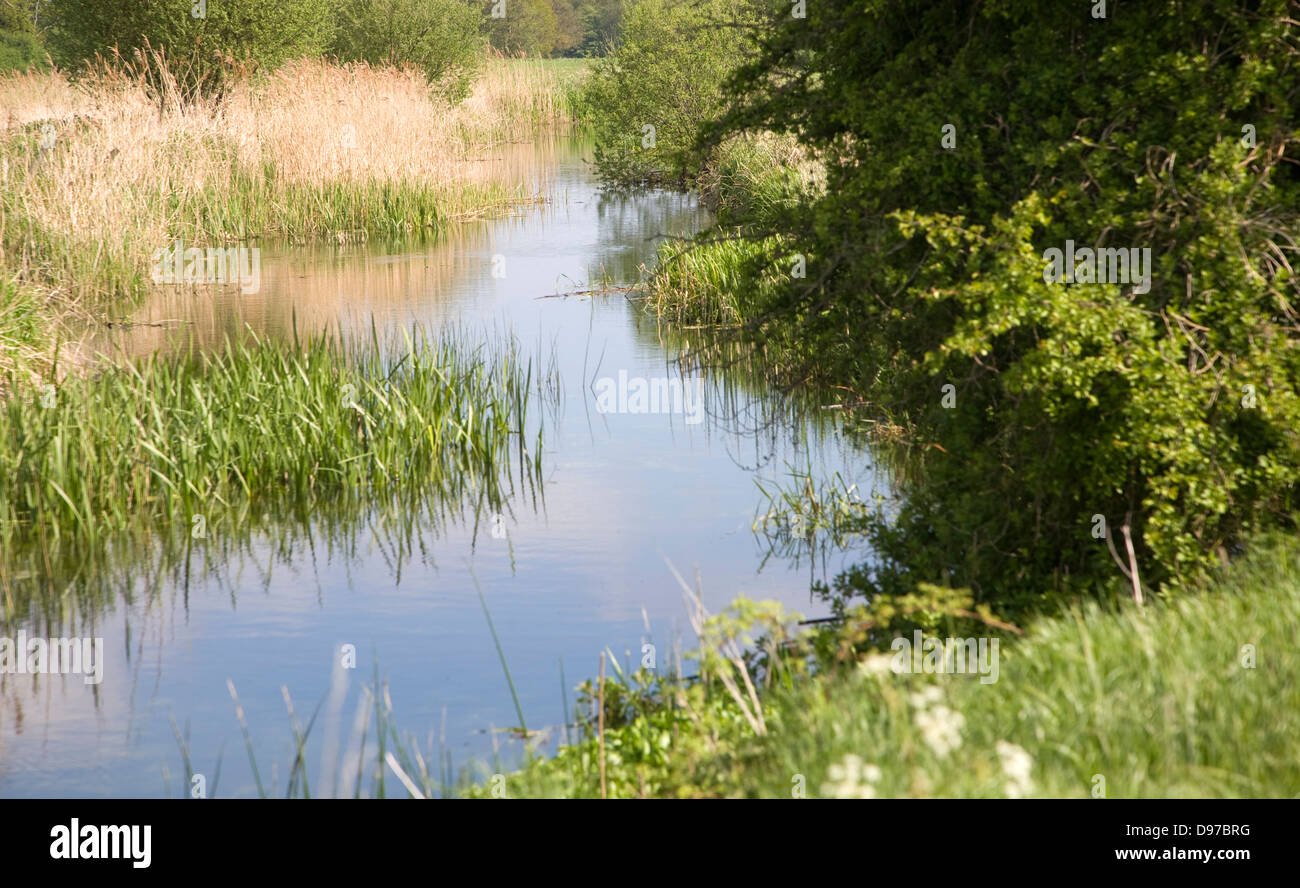 River Deben meandering in its flood plain, Rendlesham, Suffolk, England Stock Photo