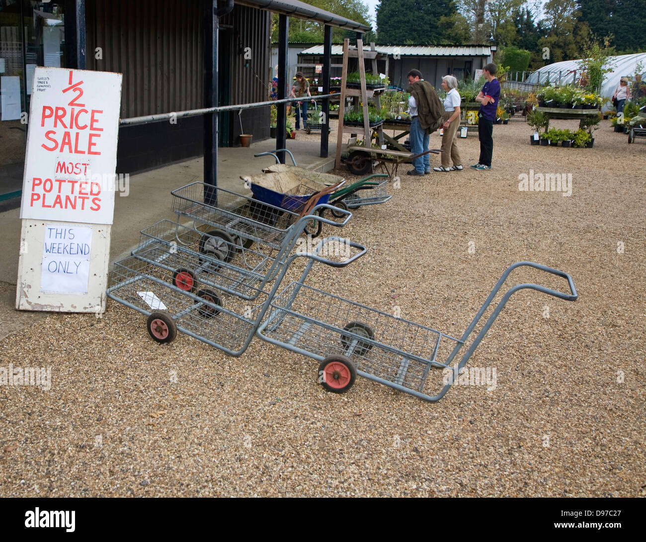 Half price plant sale at Swanns nursery garden centre, Bromeswell, Suffolk, England Stock Photo