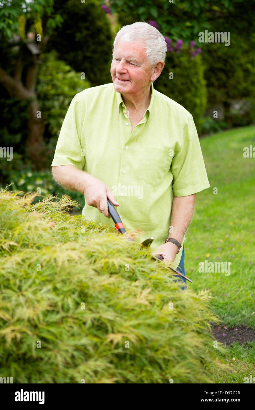 Seventies Man Active Retirement Lifestyle Gardening Stock Photo