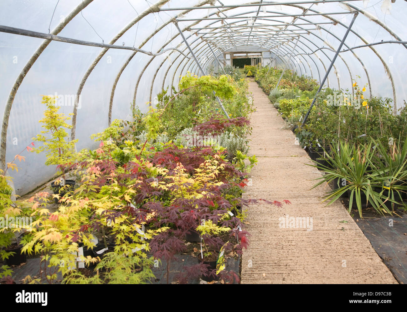 Inside Poly Tunnel High Resolution Stock Photography and Images - Alamy