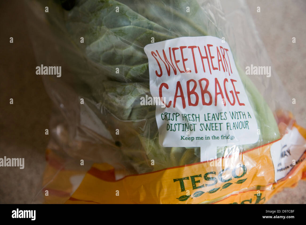 Sweetheart cabbage from Tesco in packaging Stock Photo
