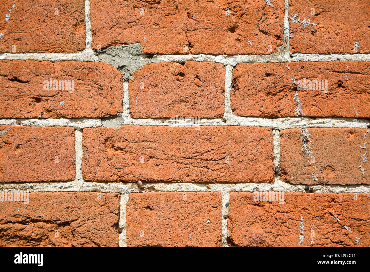 Red brick wall with white mortar joints and holes created by insects Stock Photo