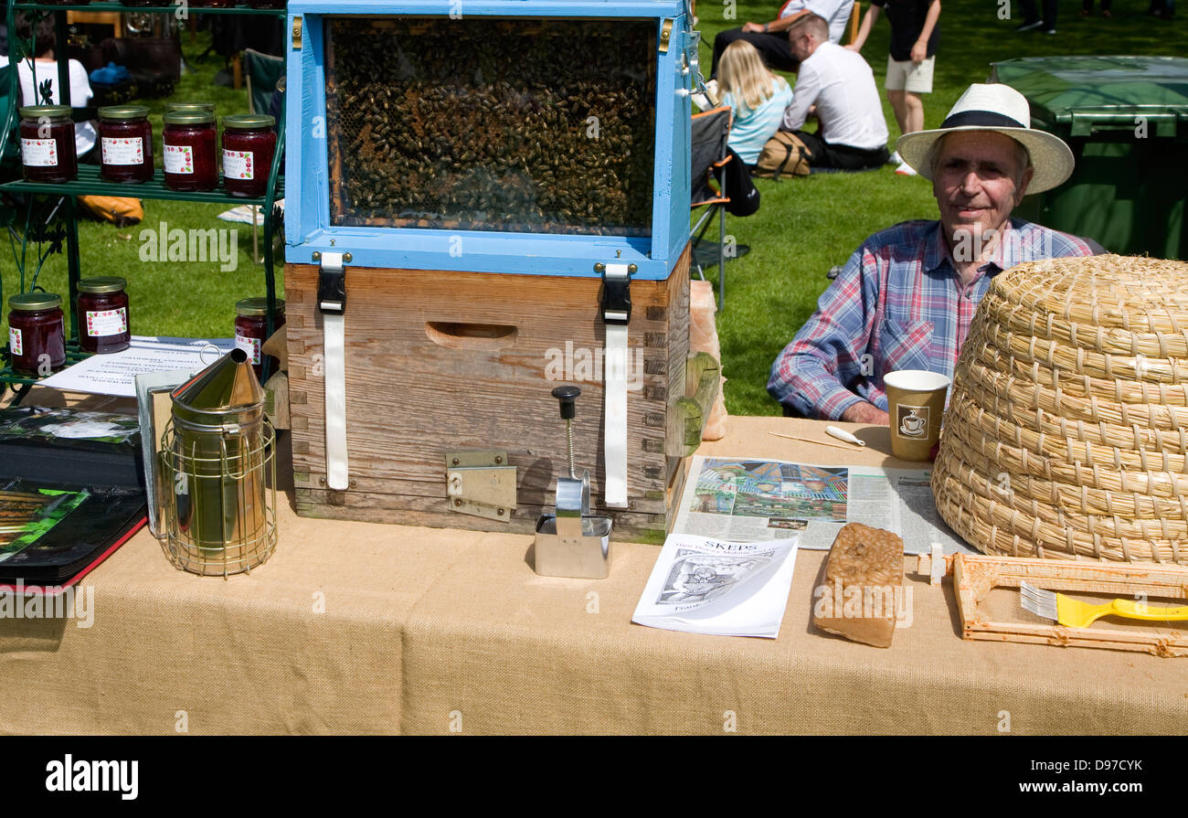 Demonstration of beekeeping with glass sided hive during a country fair event at Helmingham Hall, Suffolk, England Stock Photo