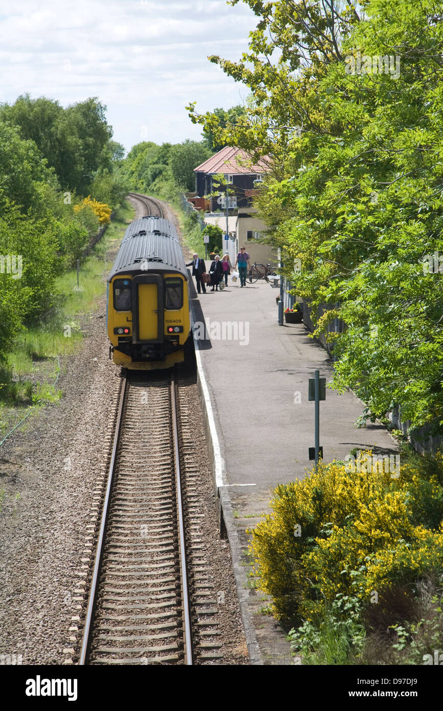 Diesel train on the East Suffolk railway line at Wickham Market station, Campsea Ashe, Suffolk, England, UK Class Super 256 Sprinter Stock Photo