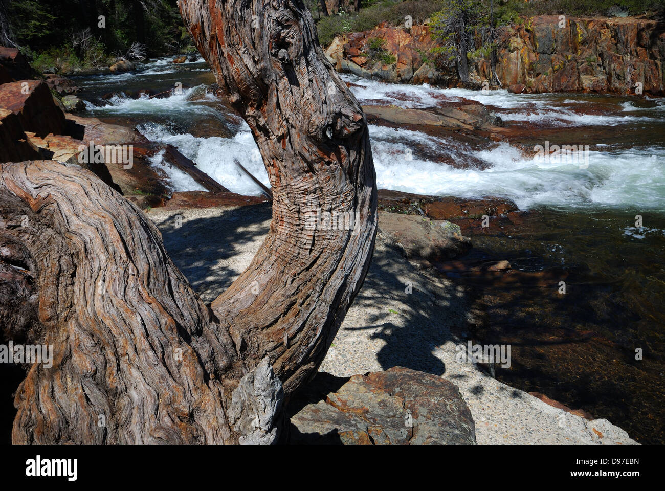 Glen Alpine Falls near Lake Tahoe California Stock Photo