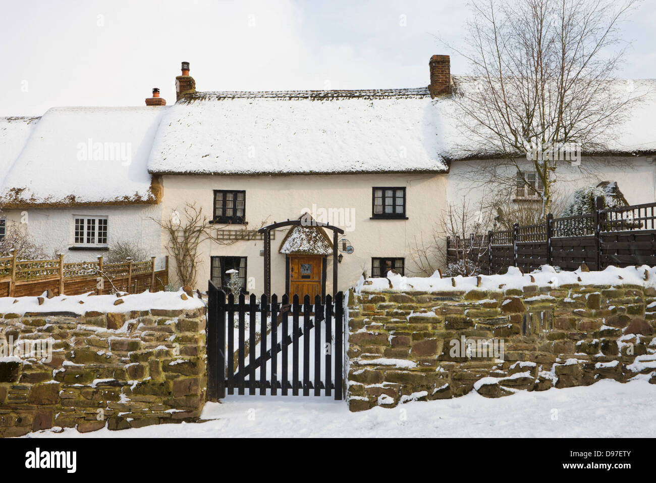 Traditional thatched cottage in winter snow, Morchard Bishop, Devon Stock Photo