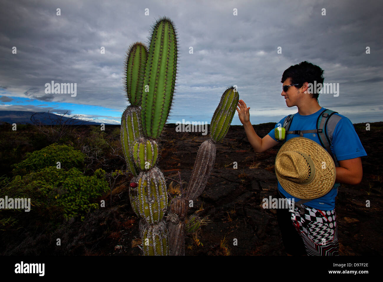 Max Kohrman, tourist touching a cactus on the lava bed Isabella Island, Punta Moreno, Galapagos Stock Photo