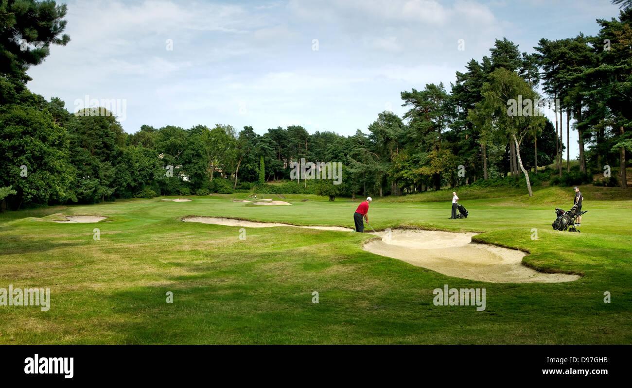 Golf Course, Camberley Heath, Camberley, Surrey, UK Stock Photo Alamy