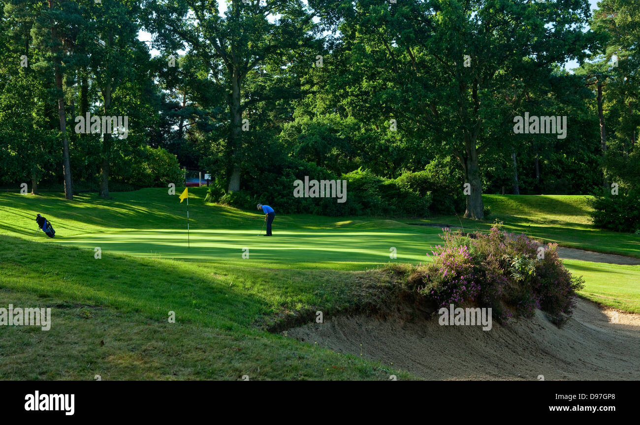 Golf Course, Camberley Heath, Camberley, Surrey, UK Stock Photo Alamy