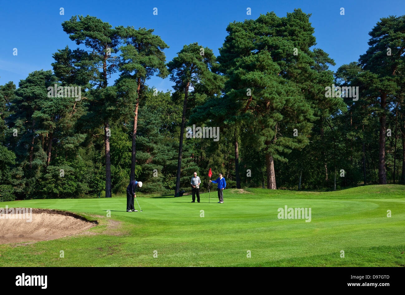 Golf Course, Camberley Heath, Camberley, Surrey, UK Stock Photo Alamy